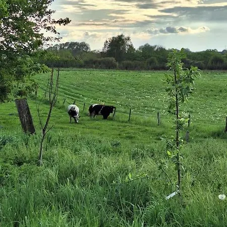 منزل ريفي Le Charme Des Pierres