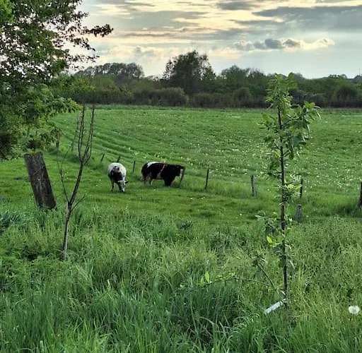 בית כפרי Le Charme Des Pierres