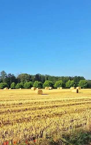 Le Charme Des Pierres בית כפרי